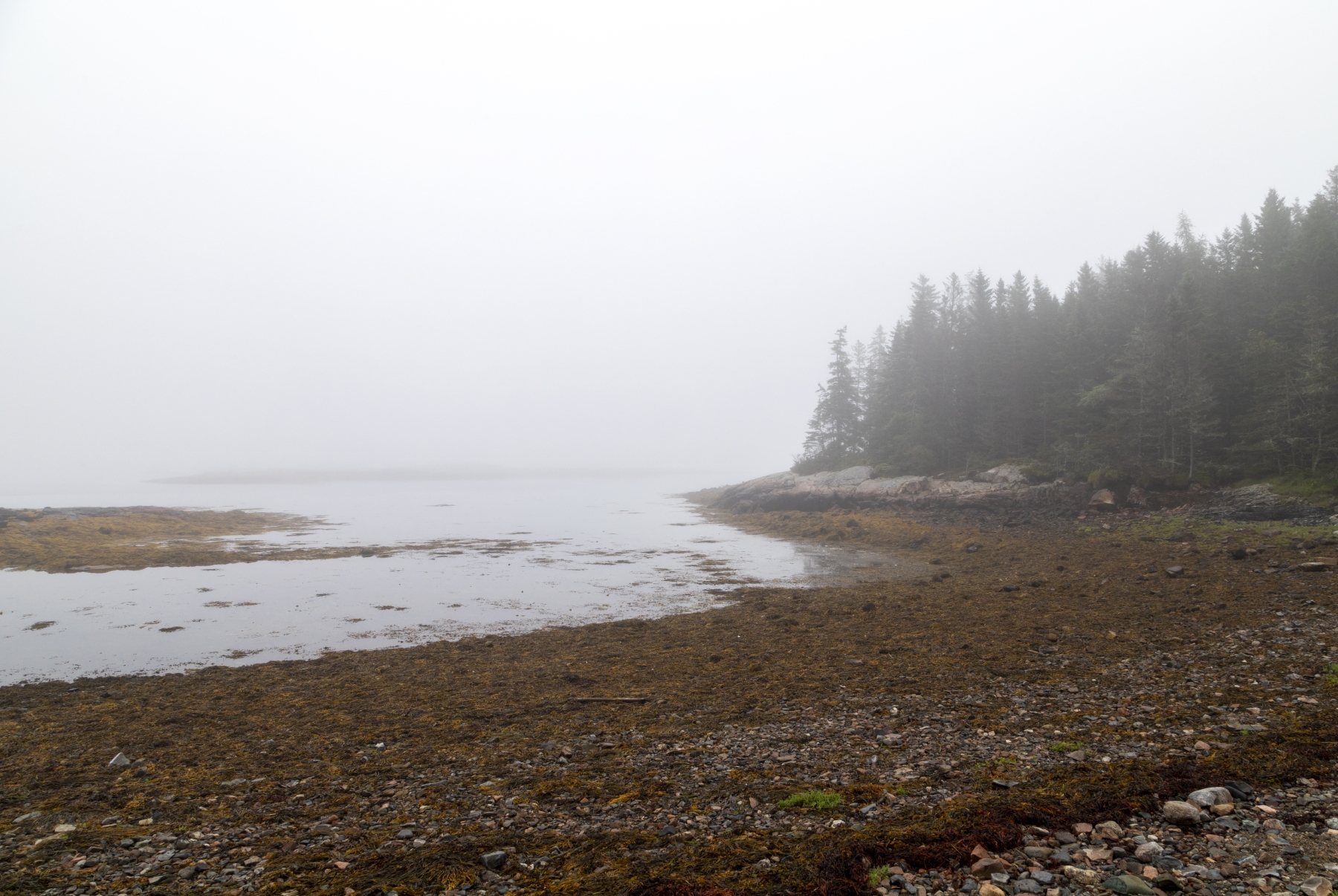 Arcadia National Park Maine Aug 2021